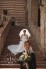 wedding-in-Italy-Verona-sitong-zhe12