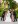 Lake Como wedding villa Erba Itailove 17