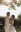 Castle Wedding in Italy Itailove 32