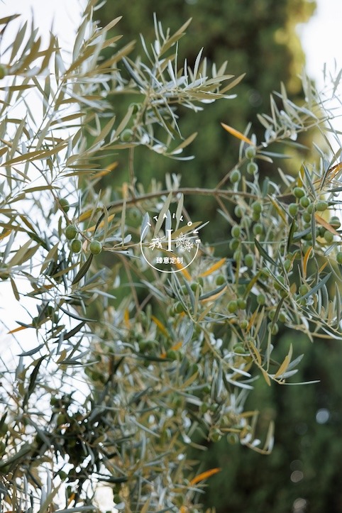 Tuscan castle wedding Castello Banfi Itailove 15